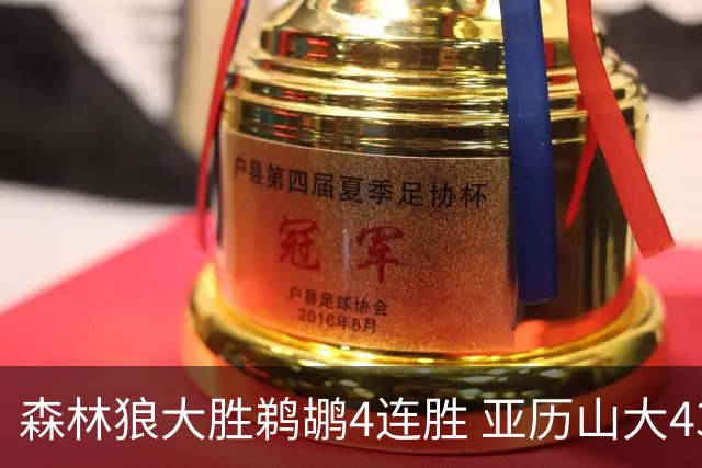 森林狼大胜鹈鹕4连胜 亚历山大43分雷霆克骑士